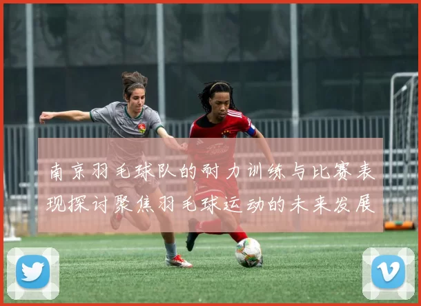 南京羽毛球队的耐力训练与比赛表现探讨聚焦羽毛球运动的未来发展