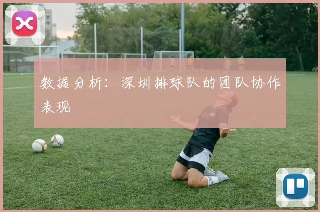 数据分析：深圳排球队的团队协作表现