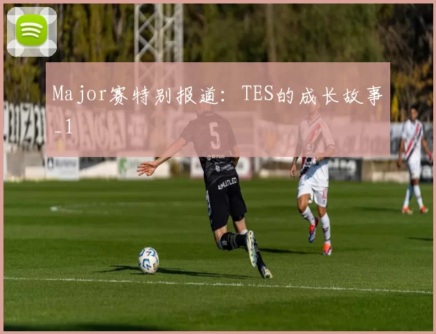 Major赛特别报道：TES的成长故事_1