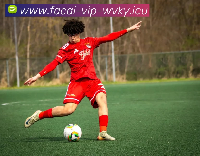 App Interface Preview